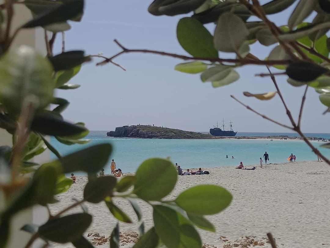 Nissi Golden Sands Sea View 2 Bedroom Appartement *