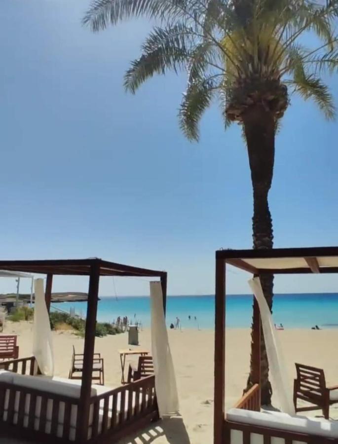Appartement Nissi Golden Sands Sea View 2 Bedroom